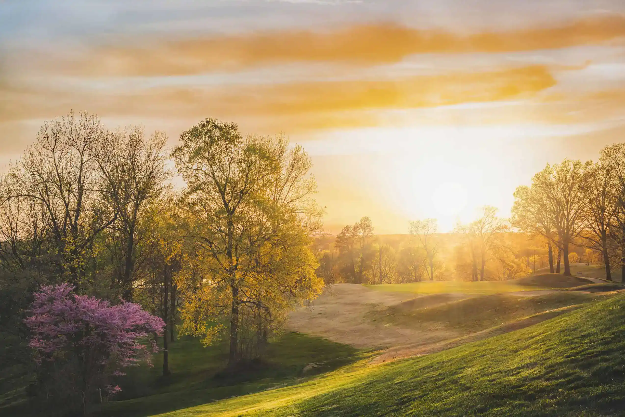 Home | Bennett Insurance Agency
